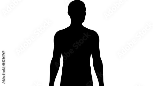 Male torso silhouette with transparent background