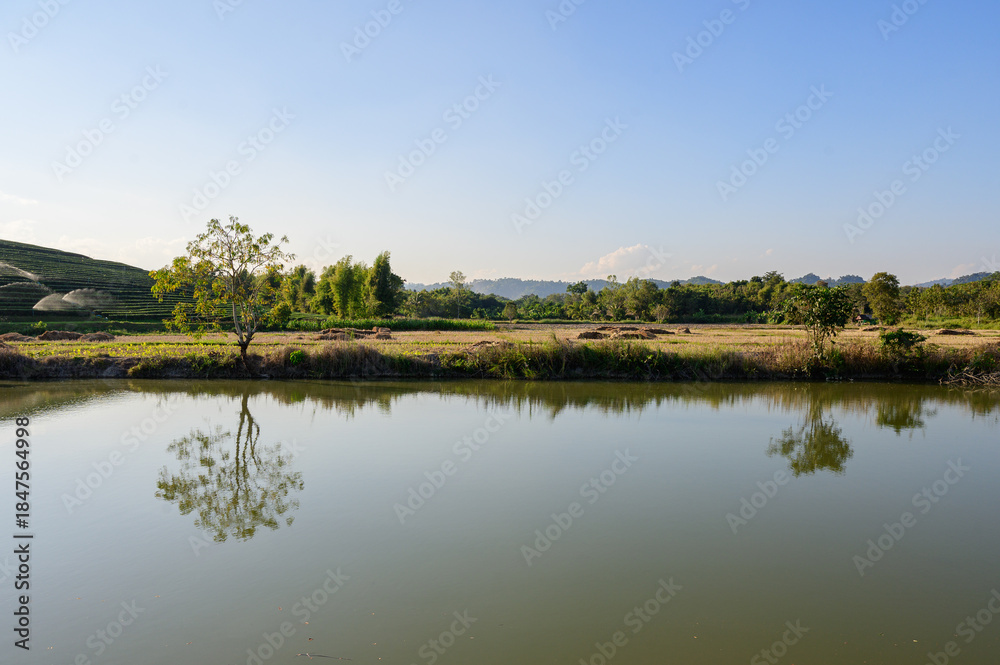 Obraz premium Scenic Green Tea Terraces at Choui Fong Plantation in Chiang Rai, Thailand