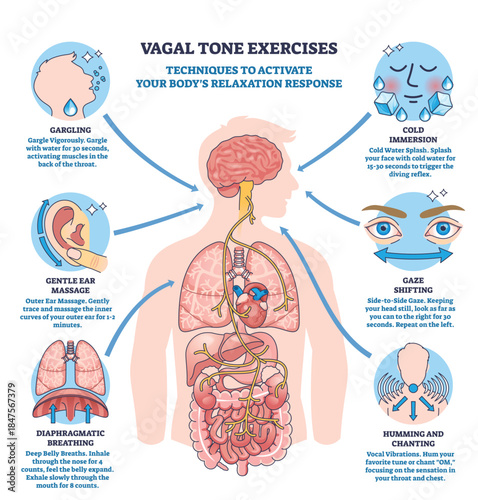 Vagal tone exercise diagram visualizes the vagus nerve pathway with brain, heart and gut, summarizing relaxation techniques and breath, gaze, gargle cues for calming. Outline diagram
