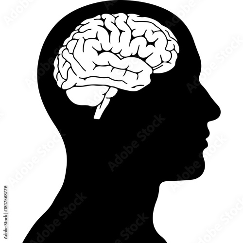 Human head silhouette with brain with transparent background