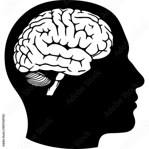 Human head silhouette with brain with transparent background