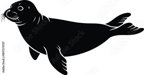 Black silhouette of a seal aquatic marine animal icon isolated on white background for nature conservation emblem wildlife vector illustration and mascot design.