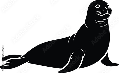 Black and white silhouette of a sea lion or seal sitting on the beach isolated on white background for marine animal conservation and wildlife nature design.