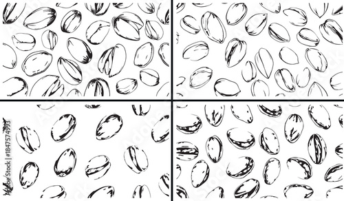 nuts illustration vector, seeds drawing collection, hand drawn nut artwork, organic food illustration, healthy nut sketch design, nut clipart vector set, botanical seed illustration, food ingredient a