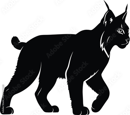 Walking lynx silhouette vector illustration of a wild bobcat predator for logo design or nature hunting mascot isolated on a white background in black style.