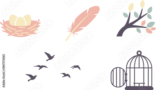Illustrations of bird elements