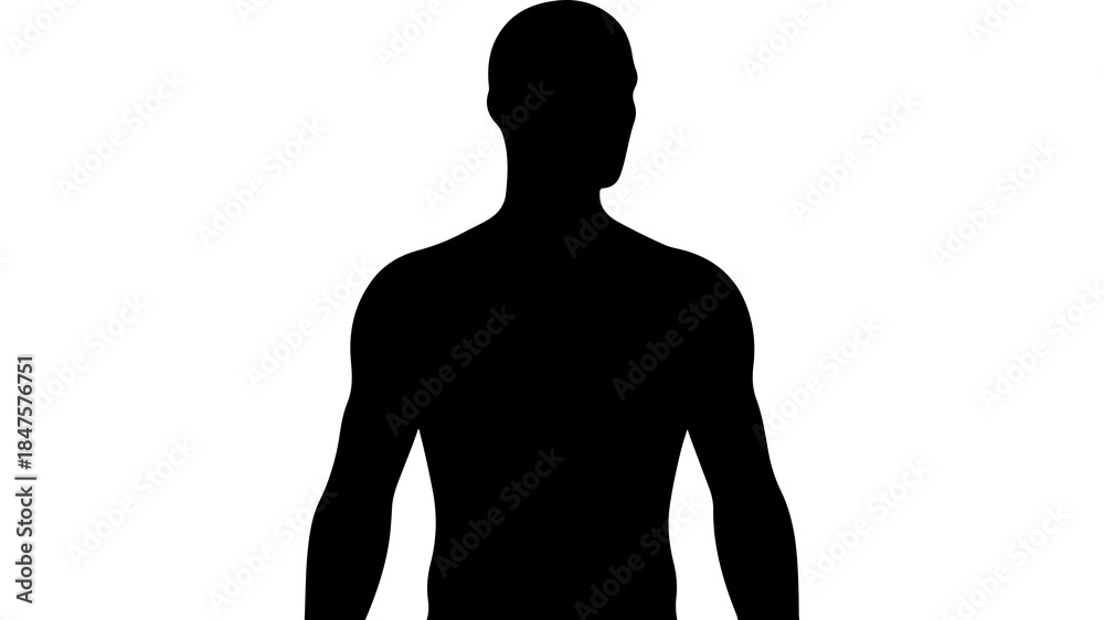 Naklejka premium Male torso silhouette with transparent background