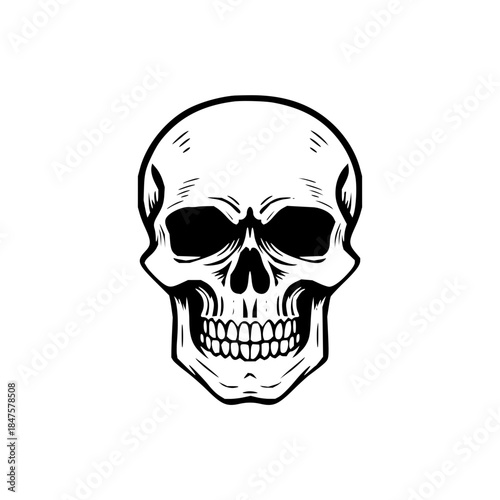 Striking monochrome human skull illustration, a powerful symbol of mortality, danger, and the macabre, perfect for gothic designs, Halloween themes, or cautionary visuals