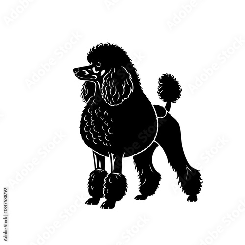 Poodle dog icon in detailed black silhouette for pet grooming, dog breeds content, and animal-related branding