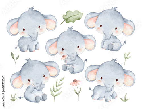 Watercolor Illustration Set of Baby Elephant and Tropical Leaves