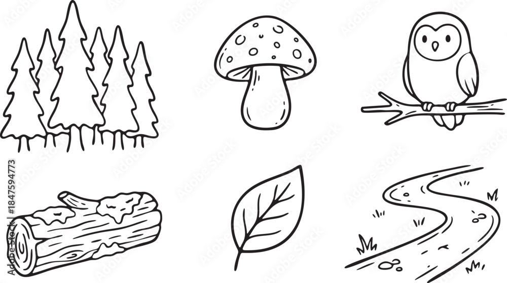 Obraz premium Hand drawn forest elements including trees mushroom owl log leaf and winding path pine evergreen