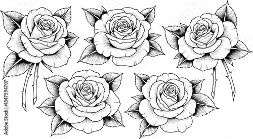 Vintage Engraved Rose Flower Vector Collection for Old School Tattoo Designs, Romantic Event Invitations, Retro Logos, and Detailed Botanical Illustrations