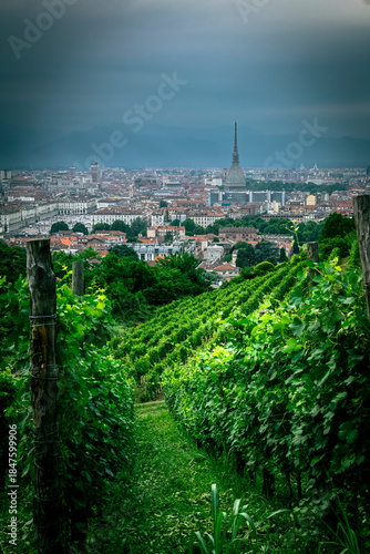 Turin, Italy. Citiscape from the Queen's Villa vineyards.