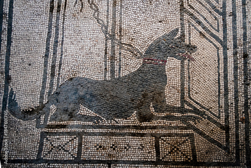 Italy, Campania, Pompeii archeological site. Guard dog mosaic, 