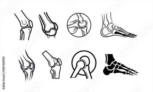 Human Anatomy Bones and Joints Collection for Medical and Educational Purposes.