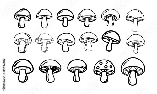 Hand drawn mushroom collection set, various fungi doodle style.