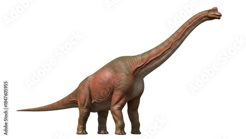 Fotografie Isolated Dinosaur Brachiosaurus model, a long-necked herbivore from the Late Jur