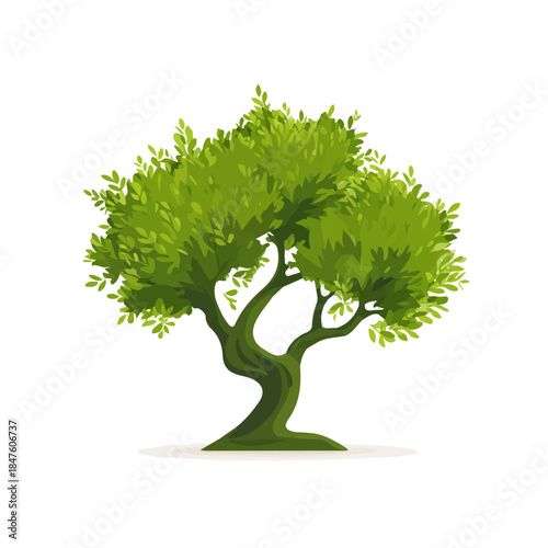 2D flat vector illustration of Olive Tree, clean and minimal icon style, isolated on white background.