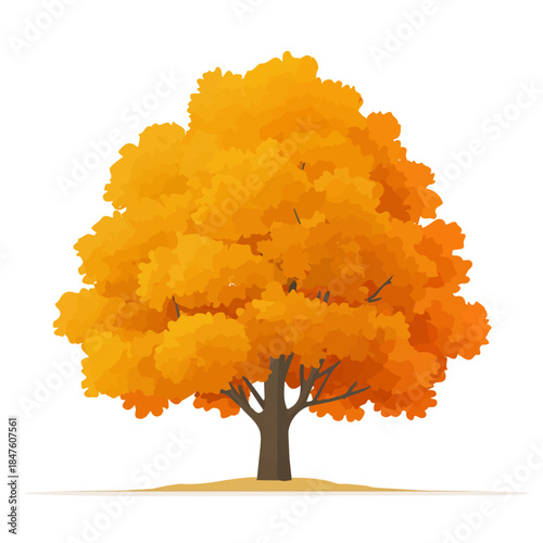 Minimal 2D vector illustration of Maple Tree in flat icon style on a plain white background.