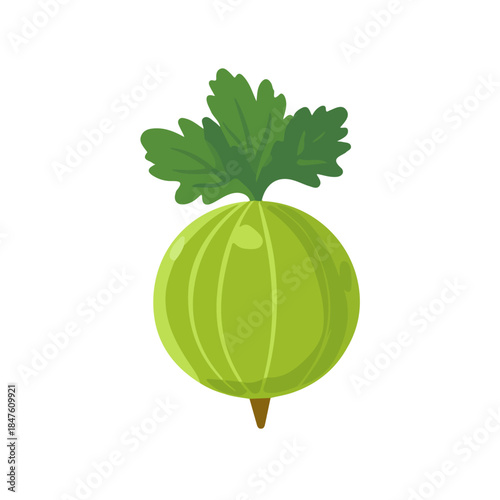Gooseberry, modern 2D flat vector illustration in icon style, isolated on pure white background.