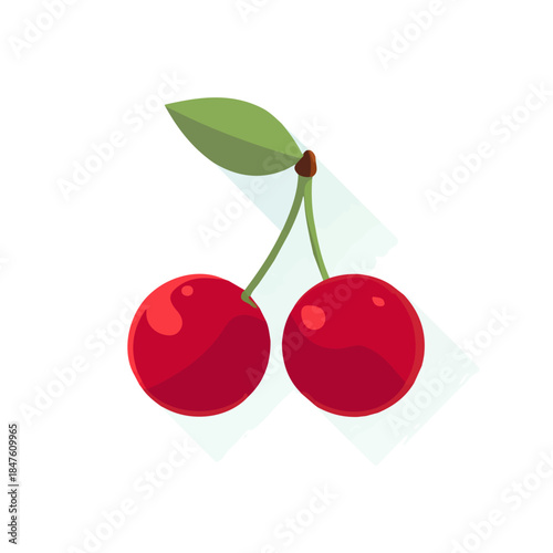 Obraz na plátne Wild Cherry, 2D flat vector illustration, simple and modern style, isolated on a plain white background