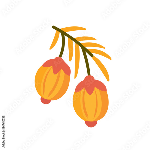 Simple flat 2D vector graphic of Haft-Mewa, modern icon look, displayed on a pure white background.