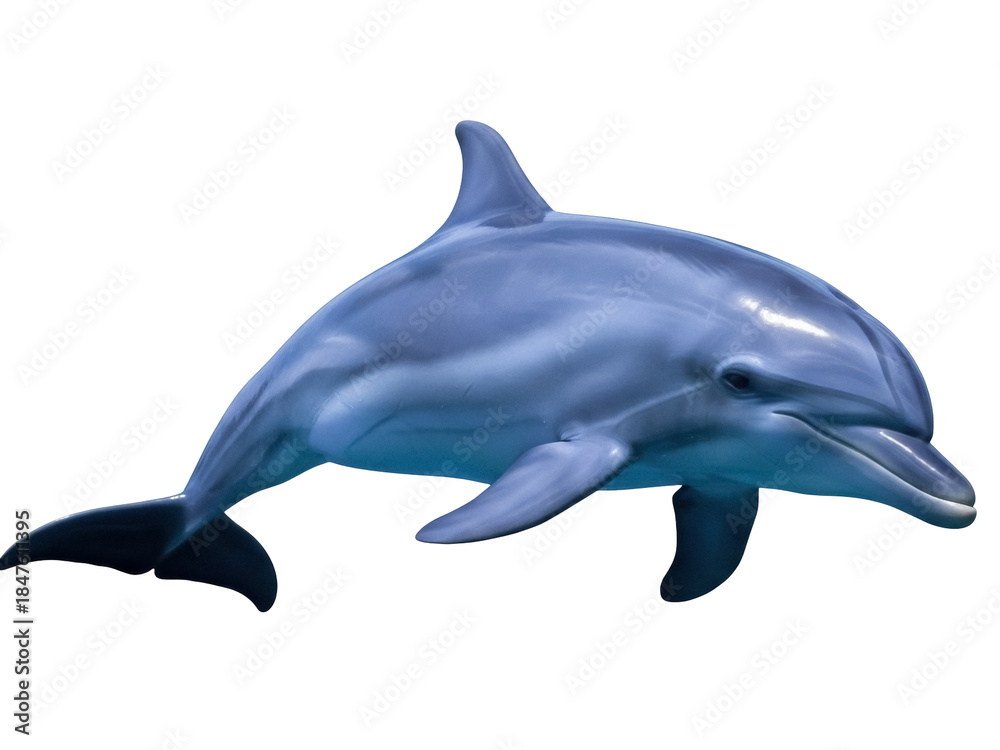 Fototapeta premium Isolated marine mammal leaping gracefully a playful dolphin in a vibrant ocean scene, beautiful