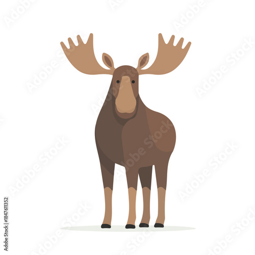 Simple flat 2D vector graphic of Moose, modern icon look, displayed on a pure white background.