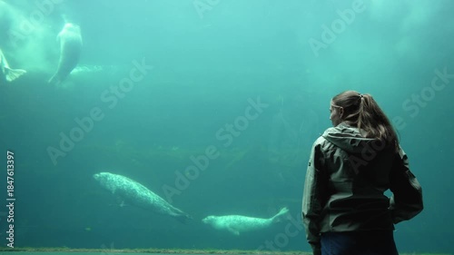 Blonde woman in jacket wathching swimming seals in water tank with glass window