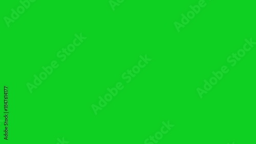 Feathers Falling Slowly Isolated on Green Screen