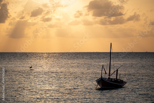 Fototapeta Naklejka Na Ścianę i Meble -  Eastern reef egret on a tropical beach in the Maldives, captured flying over the ocean in its natural coastal habitat during sunset next to an out-of-focus typical Maldivian boat. 