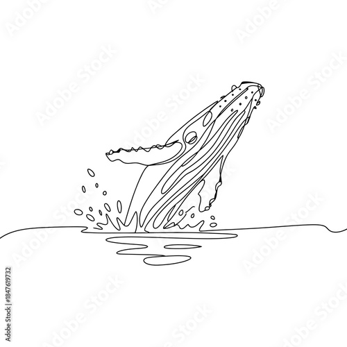 Humpback Whale Breaching Ocean Water, Minimalist Line Art Illustration
