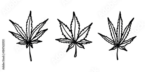 Set of hand drawn cannabis leaf Medicine marijuana Hemp leaves clipart in doodle style Single element for print, web, design, decor