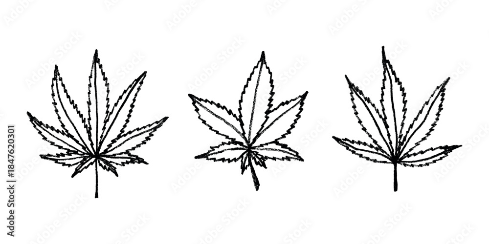 Fototapeta premium Set of hand drawn cannabis leaf Medicine marijuana Hemp leaves clipart in doodle style Single element for print, web, design, decor