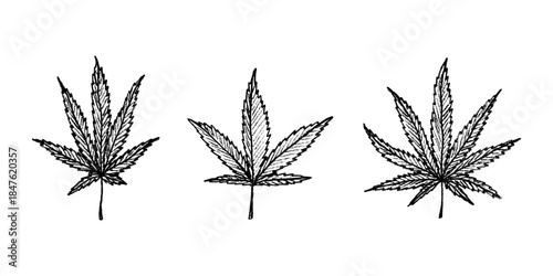 Set of hand drawn cannabis leaf Medicine marijuana Hemp leaves clipart in doodle style Single element for print, web, design, decor