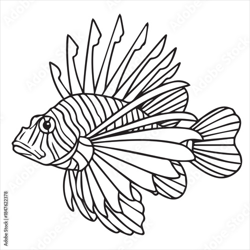 vector illustration of a lion fish