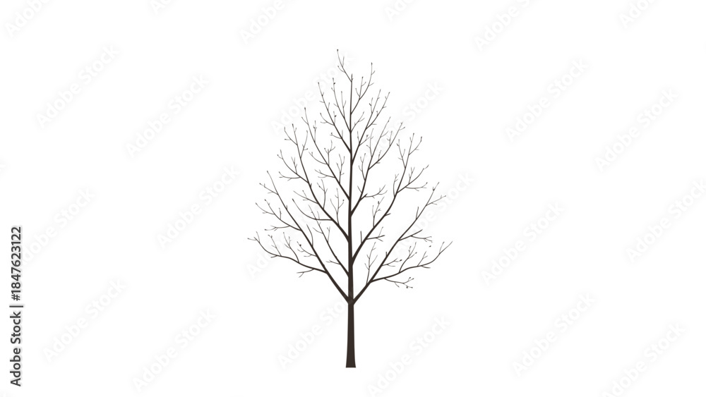 Obraz premium Single bare tree with first buds