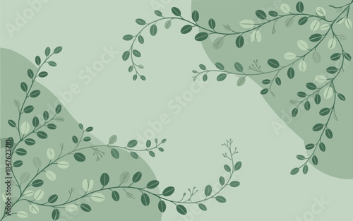 Serene illustration of intertwined branches and leaves on a soft green background from a top-view perspective