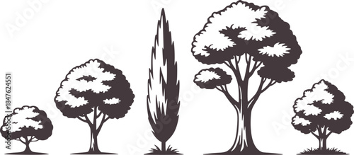 Black and white of five varied trees in silhouette