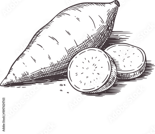 Hand drawn black and white of a whole and sliced sweet potato