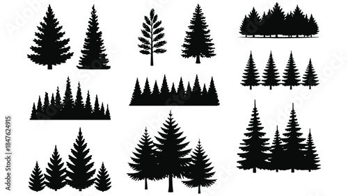 Various pine tree silhouettes for design