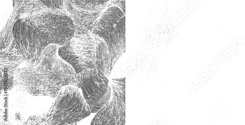 Black and white abstract pattern of swirling lines and dots