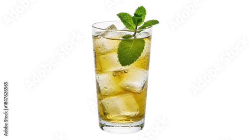 Tableau sur toile Isolated refreshing alcoholic drink, mint julep, iced beverage, in tall clear gl