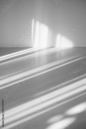 White light background abstract style vertical black and white backdrop.