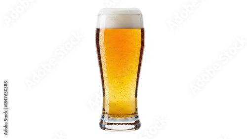 Isolated glass of light beer with frothy head ready to drink in bar on a sunny day party