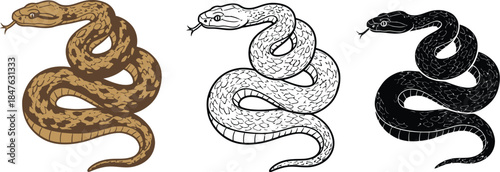 Three snakes in different colors and patterns coiled up