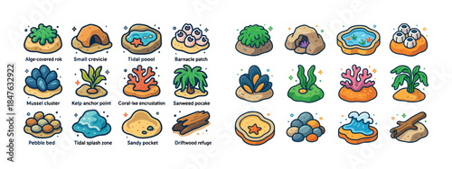 Cartoon sea life elements including algae rocks, coral patches,