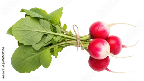 Foto Isolated bunch of fresh radishes with green leaves, ready for a healthy salad re