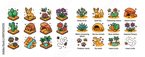 Desert wildlife and flora: foxes, insects, shrubs, and plants