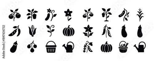 Set of vegetable and gardening icons: tomatoes, corn, peas, eggp